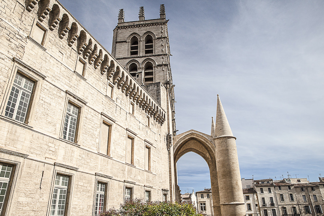A.Gressin - Cathédrale de Montpellier A.Gressin - Cathédrale de Montpellier