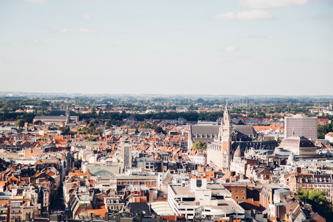 Vue d'ensemble de Lille au sommet du Beffroi Vue d'ensemble de Lille au sommet du Beffroi